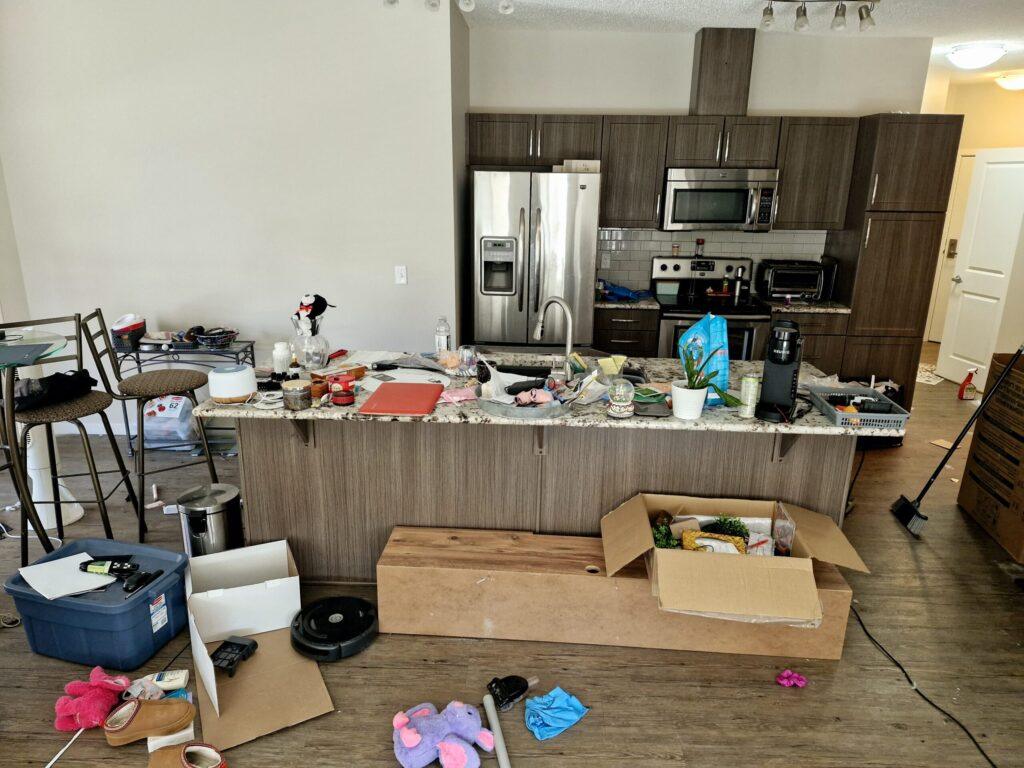 Need a Fresh Start in Your New Home? What Makes Move In/Move Out Cleaning Essential? 6 Need a Fresh Start in Your New Home? What Makes Move In/Move Out Cleaning Essential?