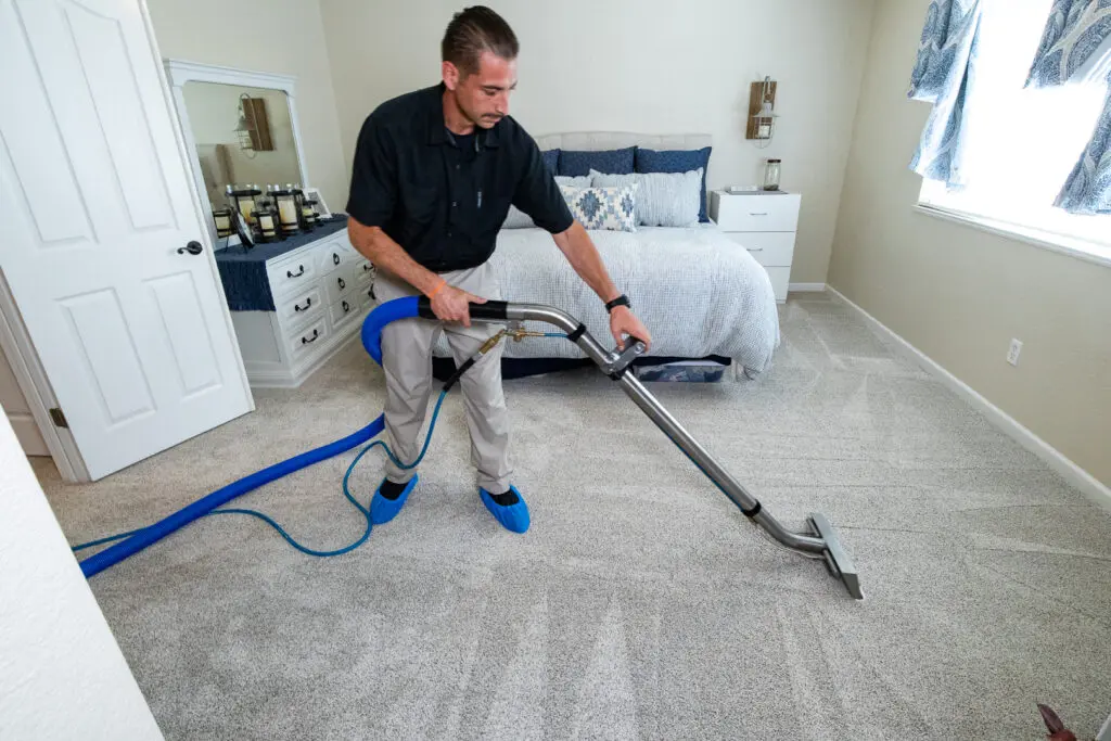 powerful benefits of carpet cleaning services in edmonton professional carpet steam cleaning